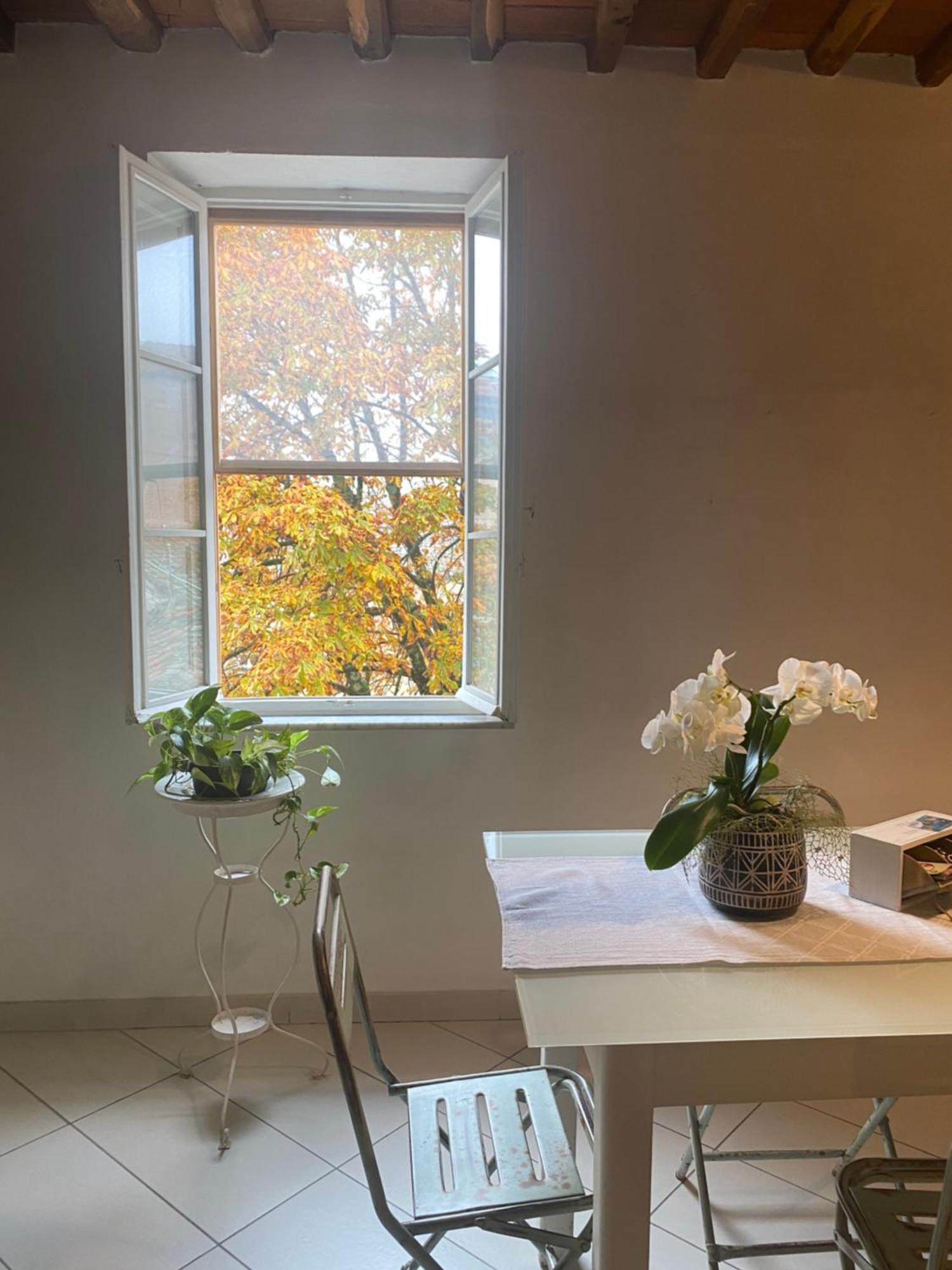 Casa Amorino Lejlighed Lucca Eksteriør billede