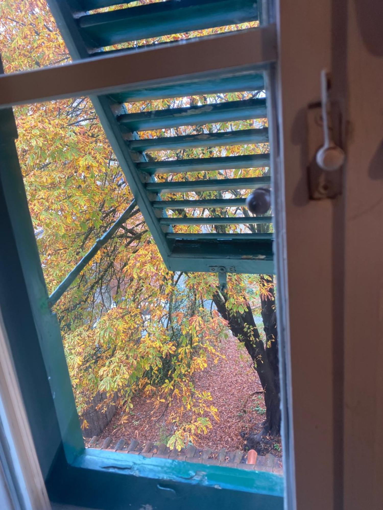 Casa Amorino Lejlighed Lucca Eksteriør billede